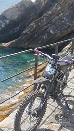 Ebike gt73 MTB ( Bici elettrica)