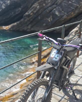 Ebike gt73 MTB ( Bici elettrica)