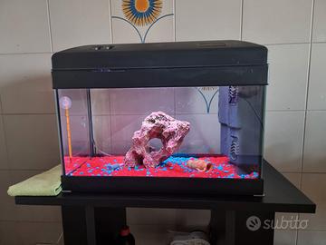 Acquario 30 lt condizioni perfette