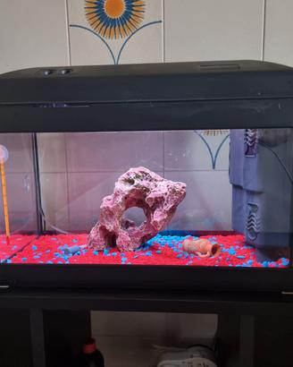 Acquario 25 lt condizioni perfette