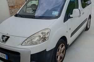 Auto trasporto disabili