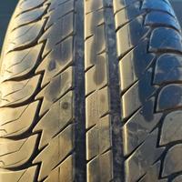Gomme estive