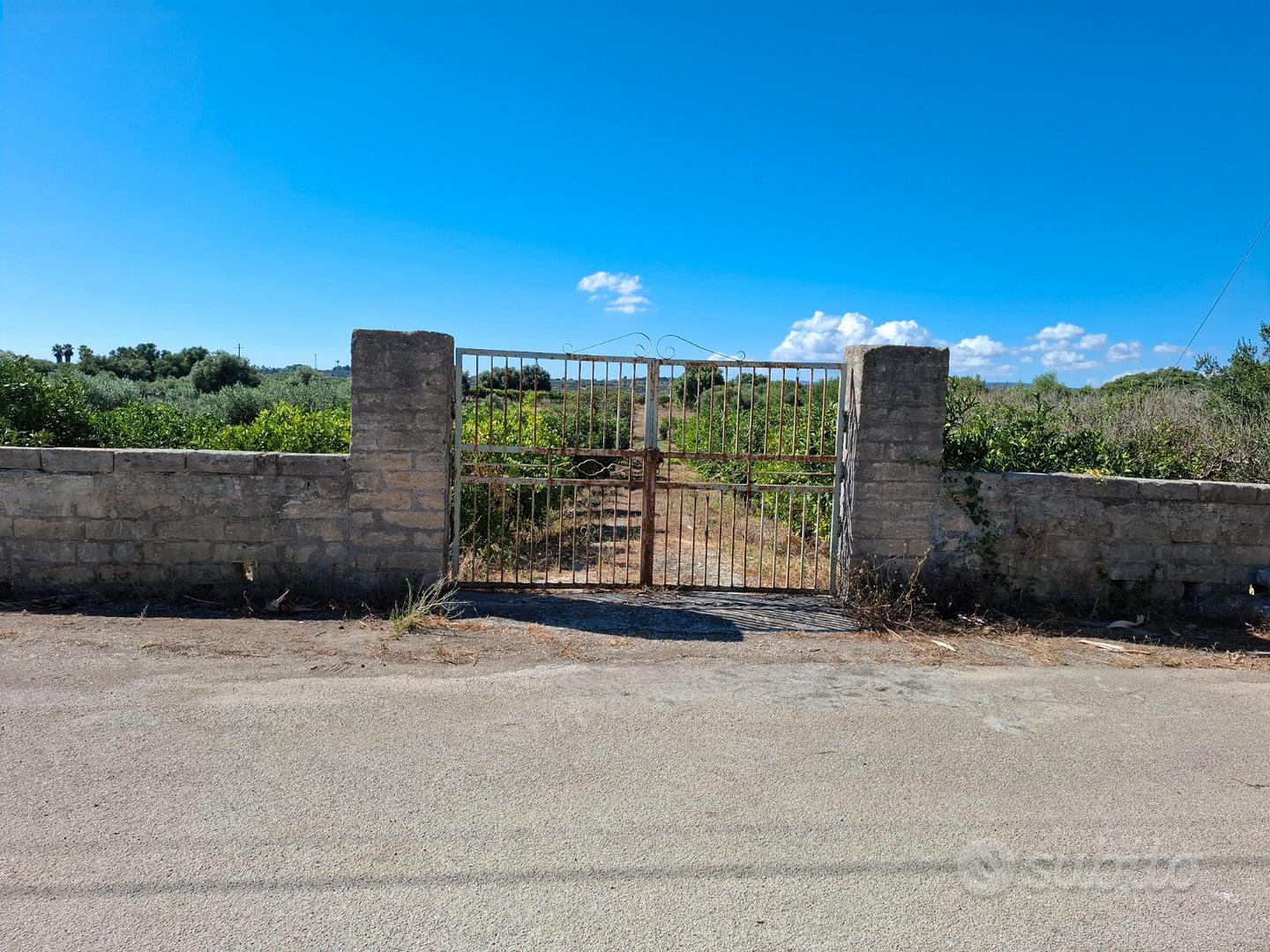 Terreno agricolo - Vista 2