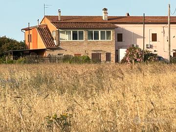 Porzione di Cascina a Capalbio in Toscana