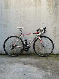 Bici da corsa Olympia Carbon - Shimano 105