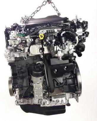 PBL224 Motore Ford 2.0TDCi 85kw TYDA [2011/--]