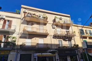 Negozio Palermo [Cod. 61/25VCG]