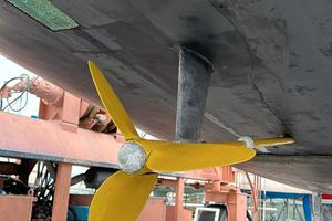 Elica Max Prop 21"