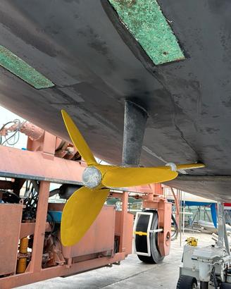Elica Max Prop 21"