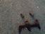 Immagine 1