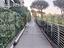 Immagine 9