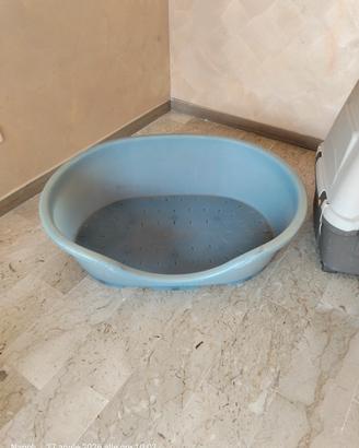 Cuccia 
