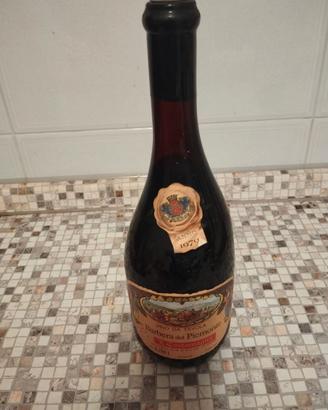 Barbera Costamagna 79