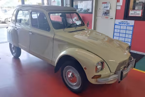 Citroen Dyane 6