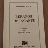 Libri del poeta Raffaele Casula 