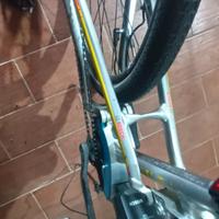 bicicletta elettrica