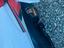 Immagine 6