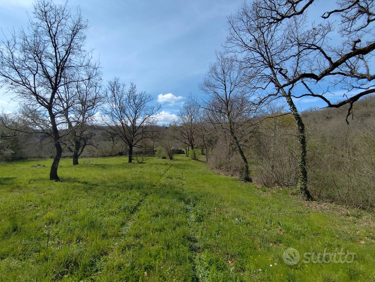 Vitorchiano terreno con casale - Vista 5