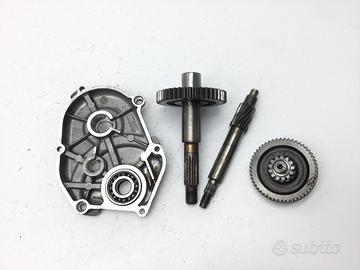YAMAHA YN NEOS NEO'S 50 CARTER E INGRANAGGI RUOTA 