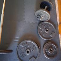 Dischi ghisa body building decathlon