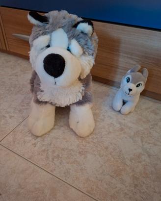 peluche husky