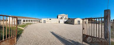 TORREMAGGIORE - Complesso Industriale