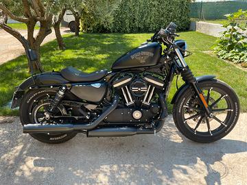 Harley Davidson XL 883 N