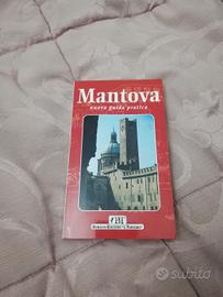 Mantova Nuova Guida Pratica Edizione Bonechi 