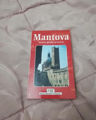 Mantova Nuova Guida Pratica Edizione Bonechi 