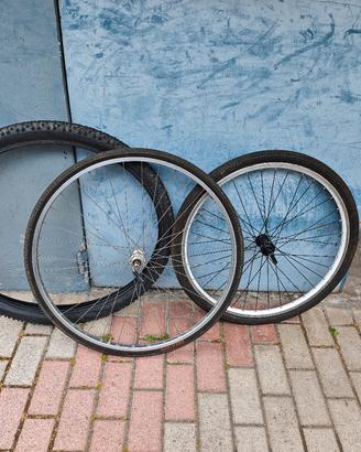 ruota completa, gomme MTB 29 schwalbe 