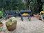 Immagine 26