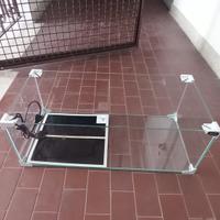 Terrario per tartarughe