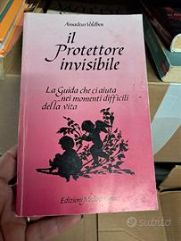 il protettore invisibile di Amadeus Voldben