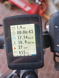 e bike