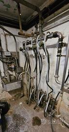 Trasporto latte per mungitura bovine