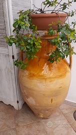 Capasone