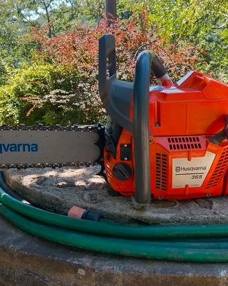 Husqvarna 365
