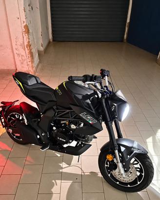 Lem brutus 110