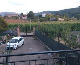 AFFITTA CAMERE - Artena C.DA VALLI