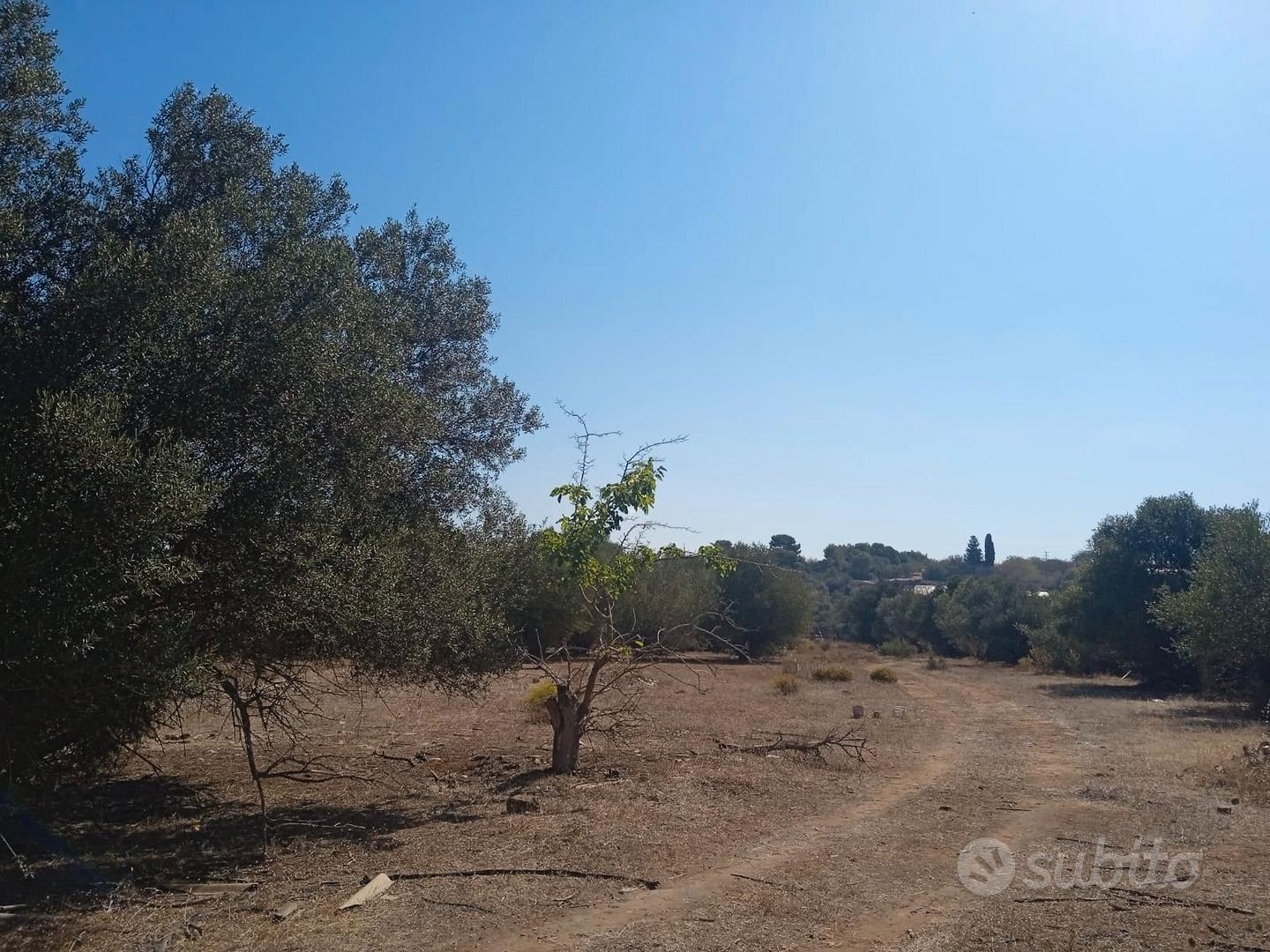 Terreno agricolo - Vista 2