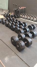 manubri technogym 