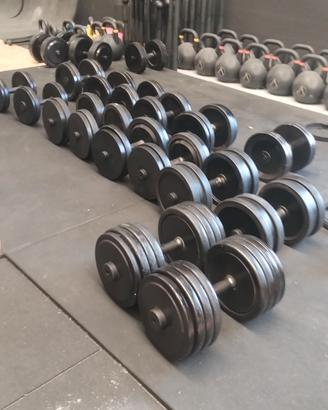 manubri technogym 