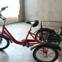 Bicicletta a tre ruote