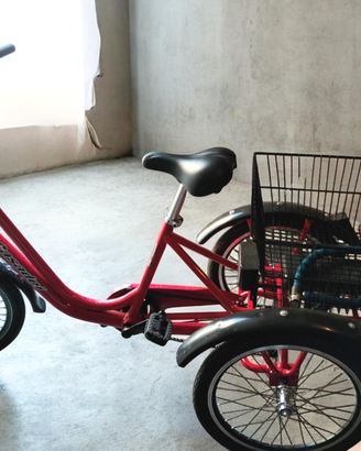 Bicicletta elettrica a tre ruote
