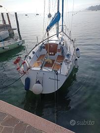 barca a vela sul lago