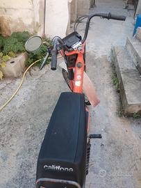 motorino califfone  rizzato
