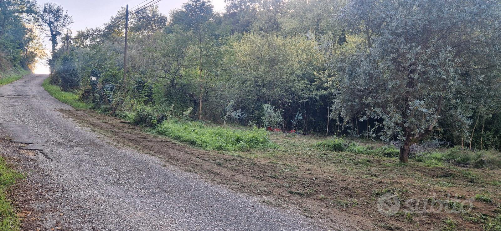 Terreno agricolo con pozzo e uliveto 2105mq - Vista 4