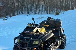 Quad Can-Am 850