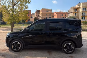 Ford Tourneo 2025