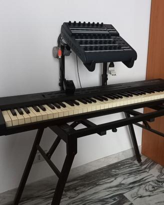 Set strumenti midi con mobiletto